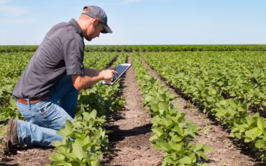 Son tres: las estrategias que cambian los negocios del agro y ya usó con éxito uno de los principales clubes del mundo