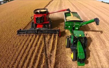 Exportaciones récord del agro en 2025: más dólares y un mapa de ventas que se consolida