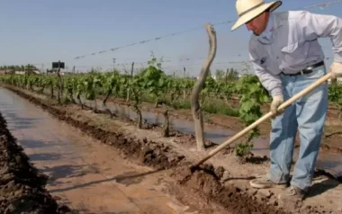 Cae el empleo formal en Mendoza: la industria y el agro arrastran la pérdida de puestos de trabajo