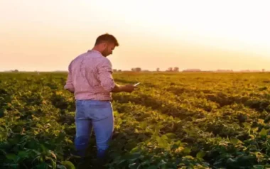 Éxodo de jóvenes investigadores del agro: “Estamos perdiendo lo más valioso que formamos en nuestras universidades”