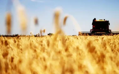 Nuevo récord del agro: en enero exportó productos por más de USD 4 millones