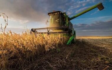 Afirman que el agro podría crecer 90% en diez años