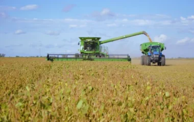 El número que ilusiona al agro: cómo Argentina podría rozar las 251 millones de toneladas y cambiar su motor económico
