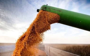 Exportaciones en Entre Ríos: agro y carnes impulsan el crecimiento