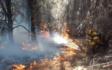 El Gobierno acelera cambios en la Ley de Manejo del Fuego para aliviar restricciones al agro