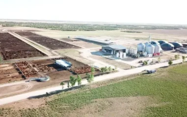 La empresa de Río Cuarto que desarrolló su propia IA para gestionar los granos y el feedlot
