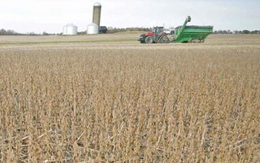 El desafío del agro argentino: cómo la innovación tecnológica emerge para cerrar la brecha histórica con Brasil