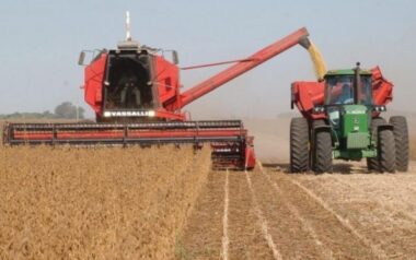 El ingreso de divisas por exportaciones del agro creció un 23% durante el mes de abril