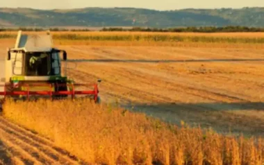 CARBAP reclamó la eliminación total de las retenciones al campo