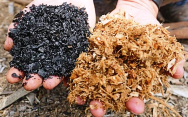 Crece el interés para la producción de biocarbón