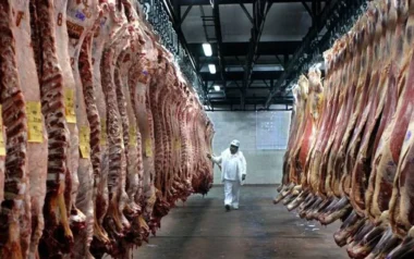 Carne bovina: cómo aprovechar el viento de cola en el mercado mundial para que el sector despegue