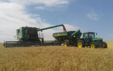 El agro volvió a apostar fuerte: crecieron 78% las solicitudes de financiamiento al Banco Nación