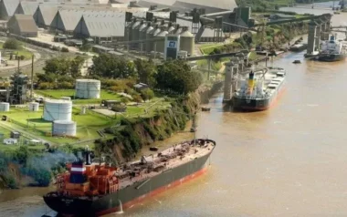 Con el impulso del trigo, la soja y el maíz, Argentina se consolida como tercer mayor exportador del agro