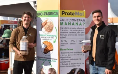 Lo que parecía ciencia ficción ya es realidad: la granja santafesina que transforma insectos en un negocio que puede cambiar al agro