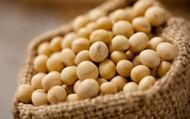 El protocolo que puede cambiar el futuro del agro entrerriano