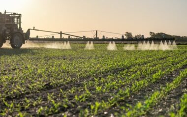 Honduras y Brasil fortalecen cooperación para modernizar el agro